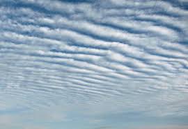 秋の空は の如く エムフルール フリーアナウンサー田巻華月のホームページ