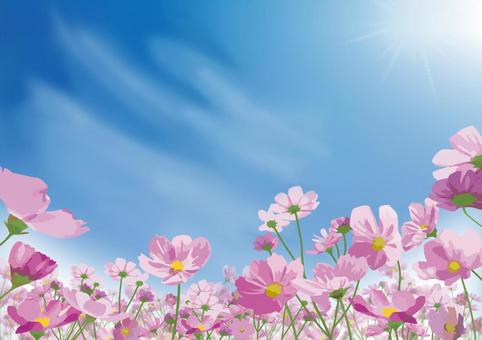 心と秋の空 エムフルール フリーアナウンサー田巻華月のホームページ